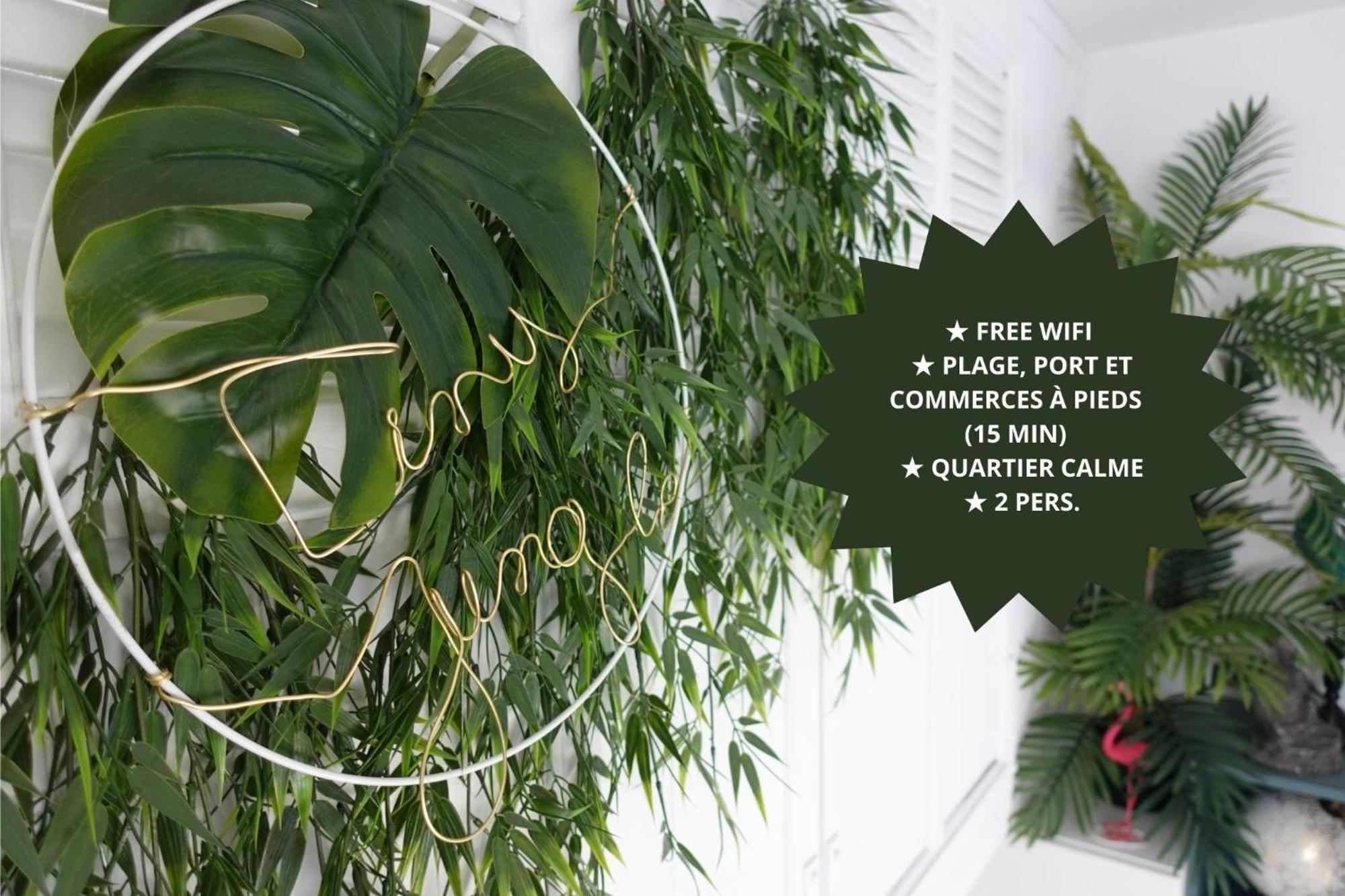 *Tiny Jungle* / Plage, Port Et Commerces A Pied 소세레팽 외부 사진