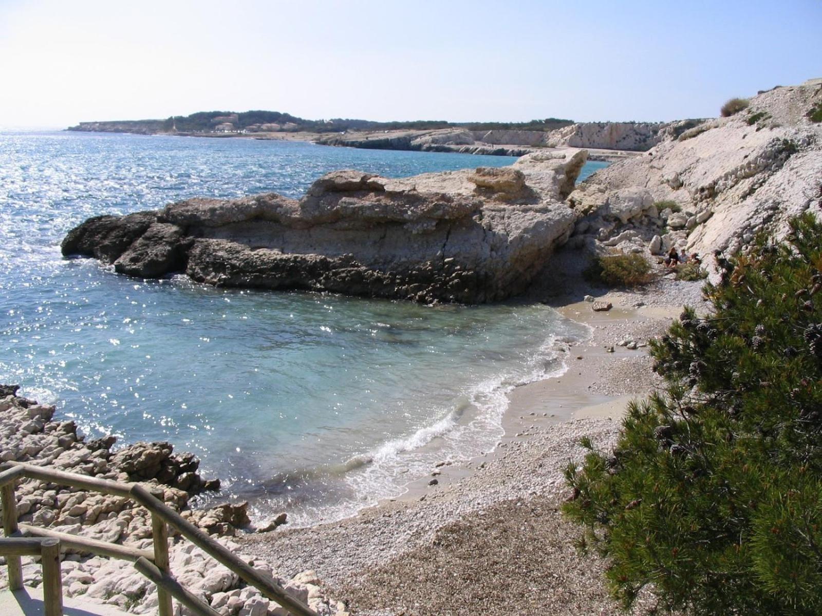 *Tiny Jungle* / Plage, Port Et Commerces A Pied 소세레팽 외부 사진